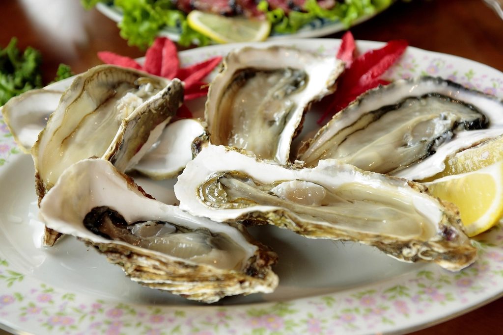 Freshly shucked oysters on the half shell, arranged on a plate with lemon.