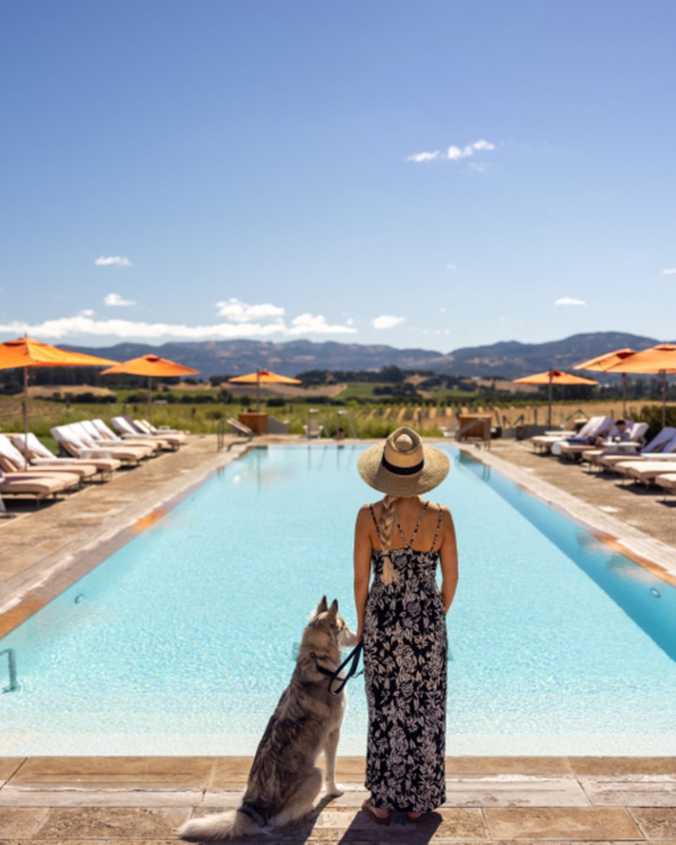 A long resort pool lined with parasols and loungers, with dry hills on the horizon.
