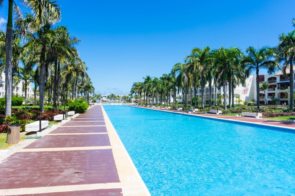 A long turquoise swimming pool running between rows of tall palms.